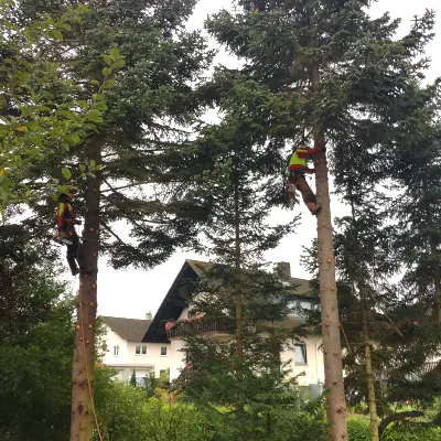 Gartenservice Fa. Astreine Baumarbeiten
